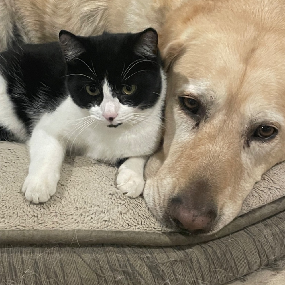 MorganFarms is LIVE! - Picture 8 of 11